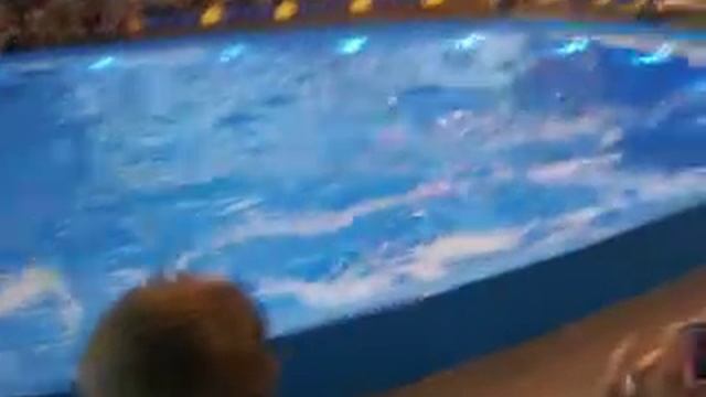 Видео снятое VTech Kidizoom Twist Plus Digital Camera смотреть онлайн