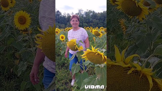 Цвет настроения - жёлтый! /Ягода малинка! смотреть онлайн