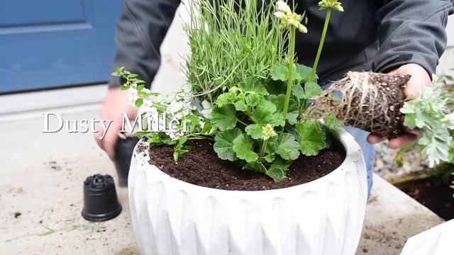 Soft Spring Container Garden Idea for your Doorway 🏠🌸 || West Coast Gardens смотреть онлайн