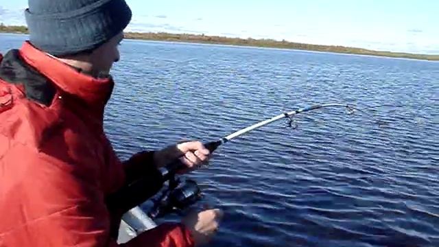 Fishing in Siberia, Рыбалка в Сибири, трофейные щуки.MPG смотреть онлайн