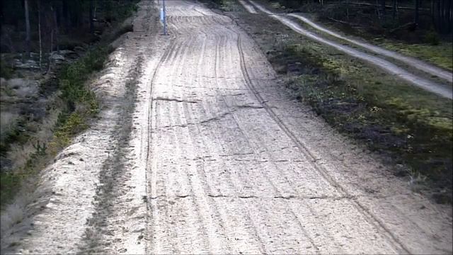 Волк в погоне за зайцем нарушил белорусско-литовскую границу смотреть онлайн