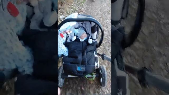 2. Teil zum ersten Versuch! Sili Julius im Gesslein? смотреть онлайн