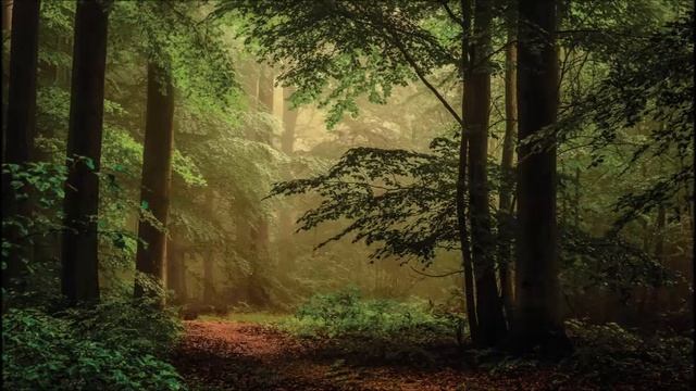 Kirtan Kriya - Sa Ta Na Ma - Mirabai Ceiba смотреть онлайн