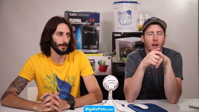 Remove Nitrates From a SW Tank Without a Water Change? A Choking Oscar and MORE • Big Al's Live Q&A смотреть онлайн