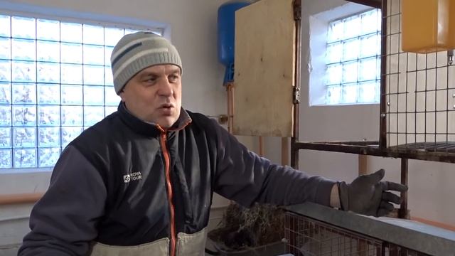 Конструкция и размеры клеток для кроликов смотреть онлайн
