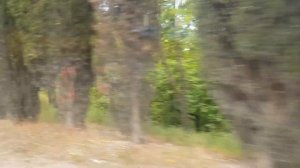 Крымский Троллейбус на Богдан Т70115 с.Кипарисное-Алушта 10 июня2022г.