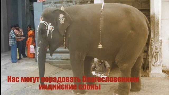 Нет информационным перегрузкам! Океан зовёт! смотреть онлайн