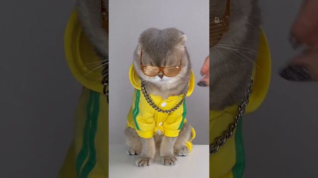 Ганста репер Котэээ