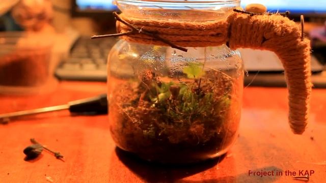 Флорарий или как выхватить за заварник смотреть онлайн