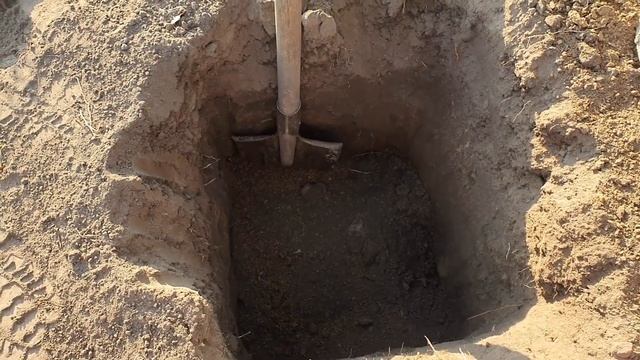 Посадка гортензии метельчатой смотреть онлайн