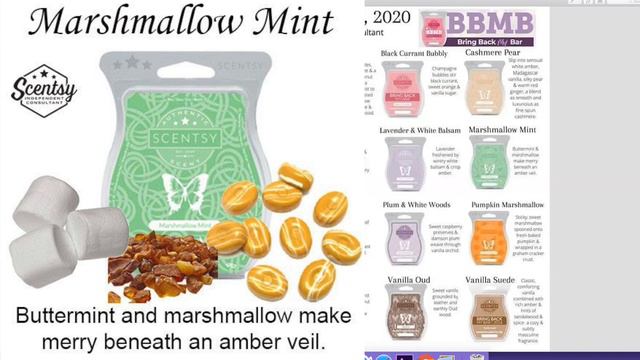 Scentsy BBMB ... review without the bars? смотреть онлайн