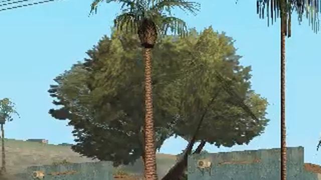 gta san andreas дом cjя смотреть онлайн