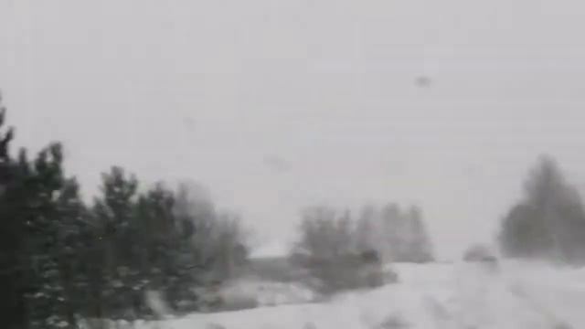 Первый день Нового года. смотреть онлайн