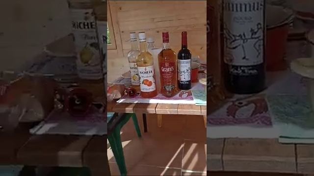 Веселое видео заказчика "Домдомино" о садовом доме 3 на 5 #садовый #хозблок #бытовка #домик #дом смотреть онлайн