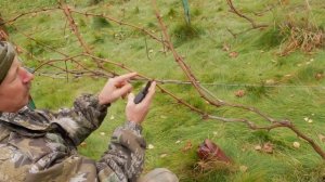 Обрезка винограда осенью. Как правильно обрезать виноград осенью.