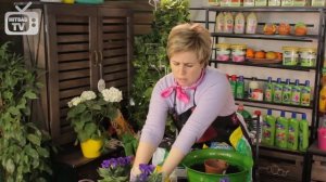 Посадка цветов в кашпо - Садовый декор хитсад  ? Мастер-класс  hitsadtv