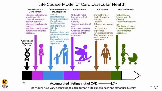 Russian National Congress of Cardiology 2019 смотреть онлайн