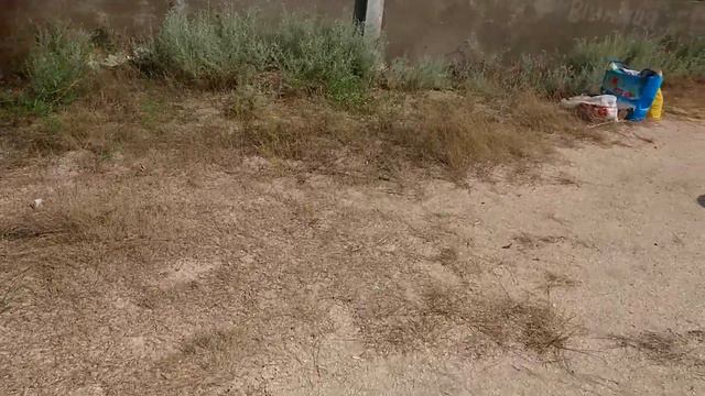 Счастливцево, 10.07.21,соленое озеро, лечение грязями смотреть онлайн