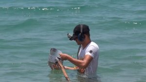 Поиск золота с металлоискателем на пляже. Metal Detecting. Treasure Hunters / Кладоискатели