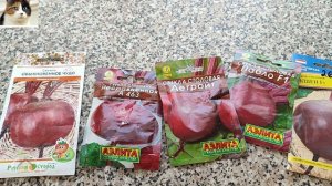 Лучшие сорта свеклы для длительного хранения и самые сладкие