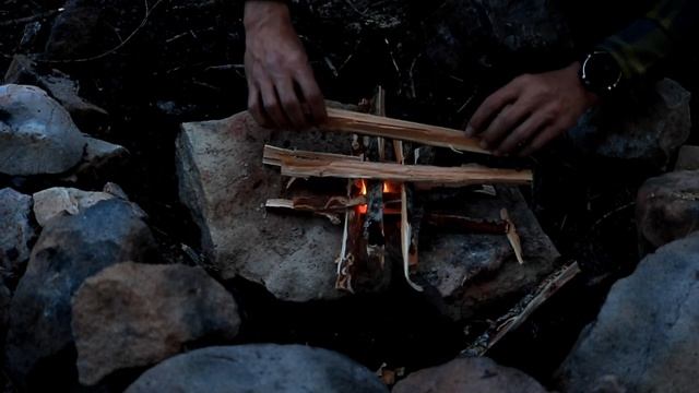 Shinrin Yoku | The Art of Forest Bathing (Overnight Adventure) TWGR смотреть онлайн