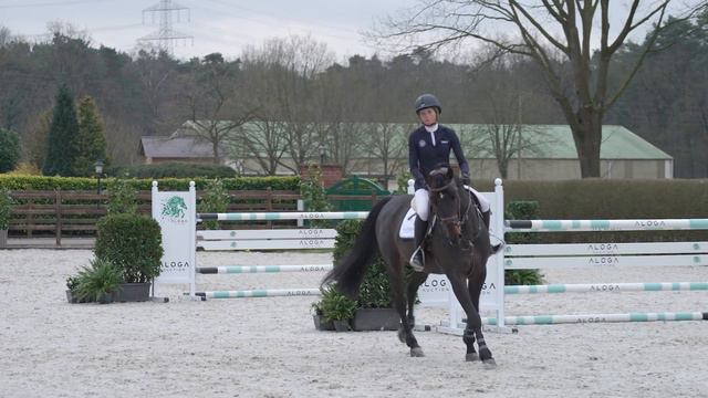 Coropeggio (Cornet Obolensky x Arpeggio) смотреть онлайн