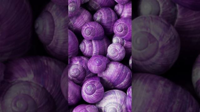 Why purple flags are INCREDIBLY rare... смотреть онлайн