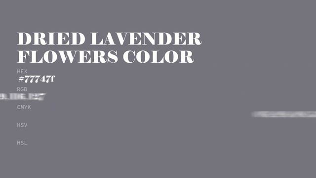 Dried Lavender Flowers color #77747f hex color - Violet color - Warm color 77747f смотреть онлайн