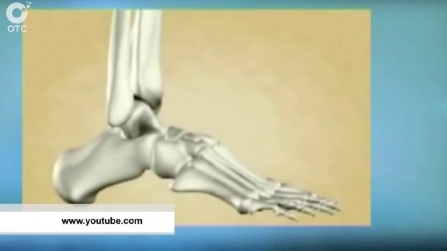 Рубрика "PRO здоровье": про высоту каблука смотреть онлайн