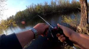 Бюджетная Мультипликаторная Катушка с АлиЭкспресс | Для твичинга и начинающих | SEAKNIGHT RED FOX