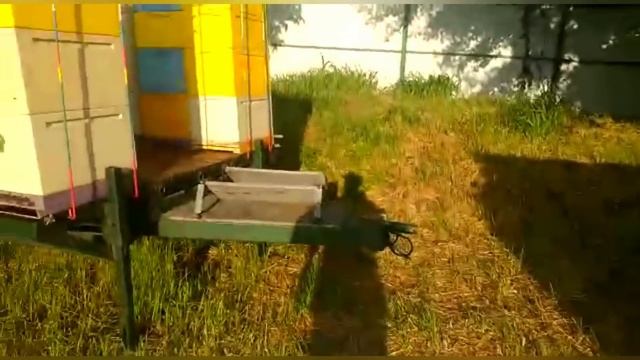 Медосбор с Липы!!!!