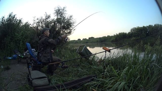 Вечером закормили кукурузой, утром пришлось побегать. Рыбалка на сазана с ночевкой. смотреть онлайн
