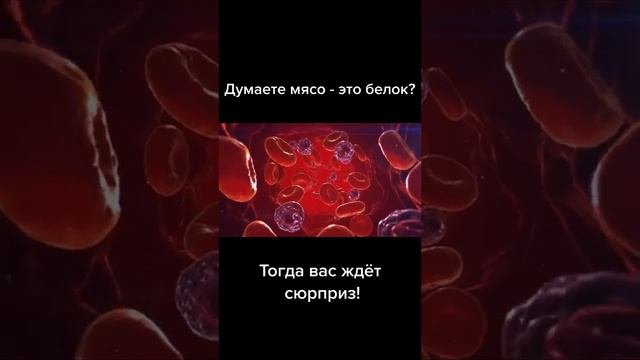 Думаете, мясо-это белок???? . Кето и голодание- что происходит в организме!!!!!! смотреть онлайн