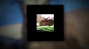 Хорошие пельмени это очень вкусно| 1hour / 1 час