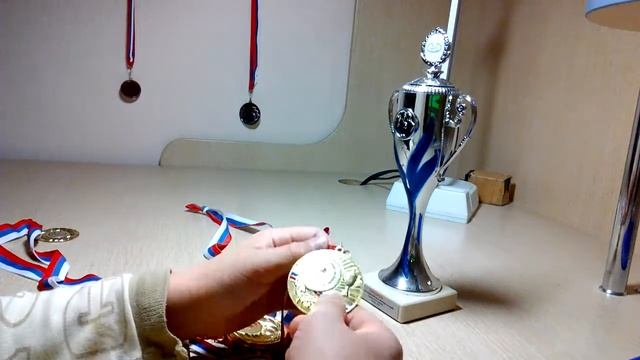 Все мои награды