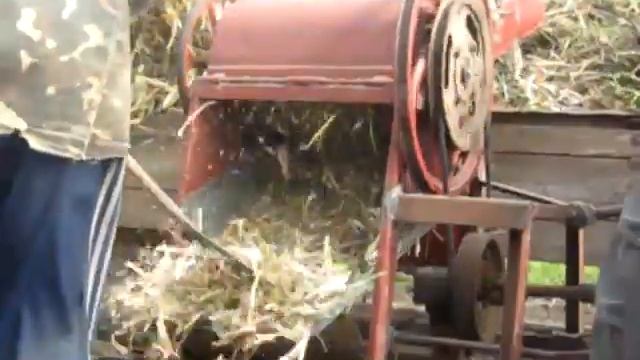 Молотарка для квасолі смотреть онлайн