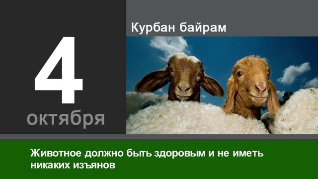Мусульманский календарь (Курбан байрам) смотреть онлайн