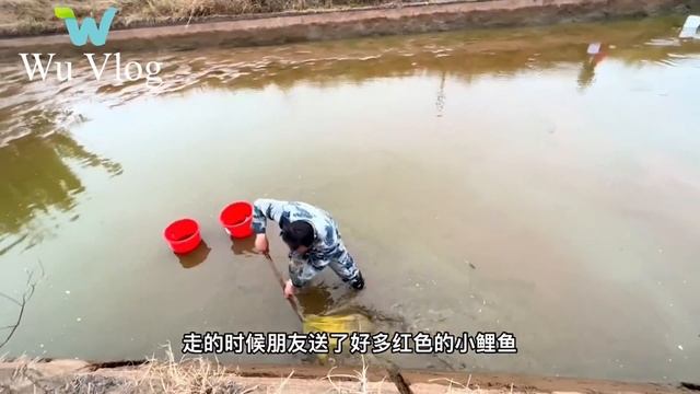 Leaving The City, The Couple Come Back Their Hometown To Renovate The Old House And Garden | WU Vlo