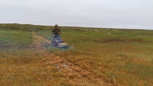 От Вижаса до Омы 30+30 км летом  на снегоходе буран.НАО
