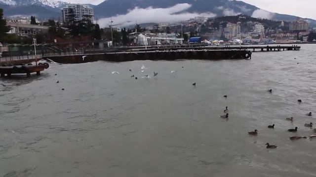 Путешествия по Крыму, Ялта Рождественские гулянья! смотреть онлайн