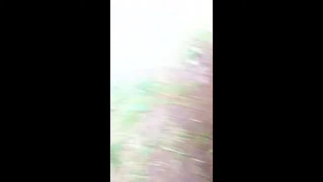 76 bug runs смотреть онлайн