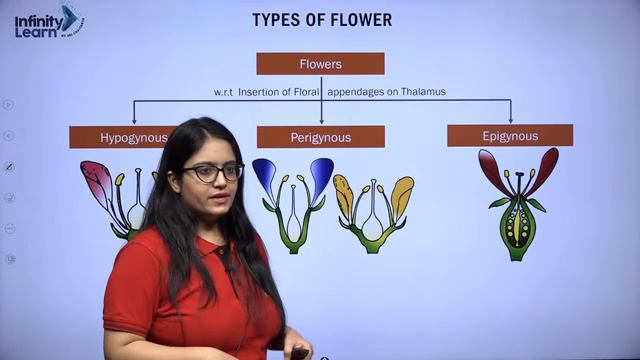 Morphology of Flowering Plants PYQ || #NEETBotany 2022 || Kiran Ma'am || Infinity Learn NEET смотреть онлайн