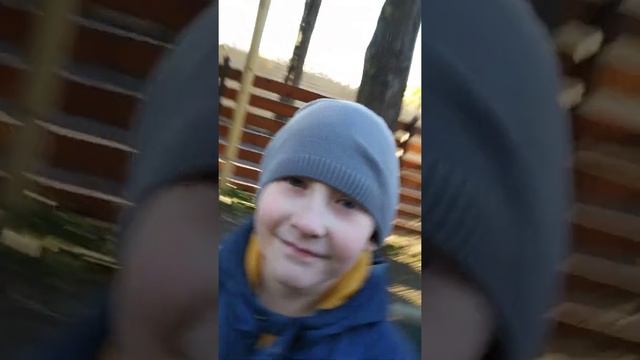 Птичка падальщик серия 3 смотреть онлайн