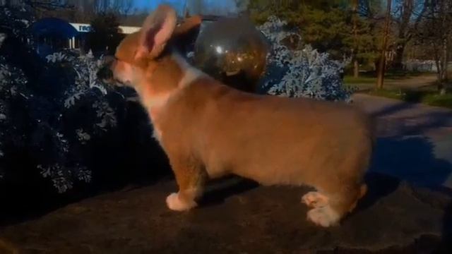 11 января 2023 г. смотреть онлайн