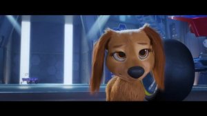 "Щенячий Патруль в кино" - Новый щенок (Русский Дубляж)