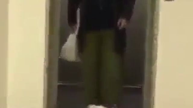 Бультерьер встречает хозяина смотреть онлайн