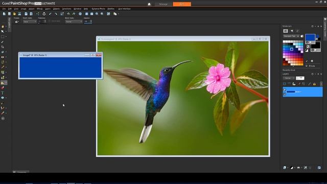 How to Apply Masks in PaintShop Pro смотреть онлайн