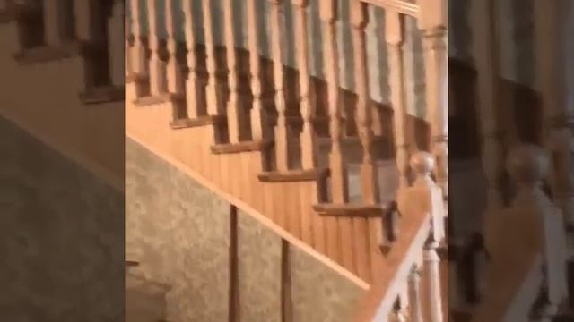 Селект. Дом паркета. Двери. Лестницы из массива. смотреть онлайн