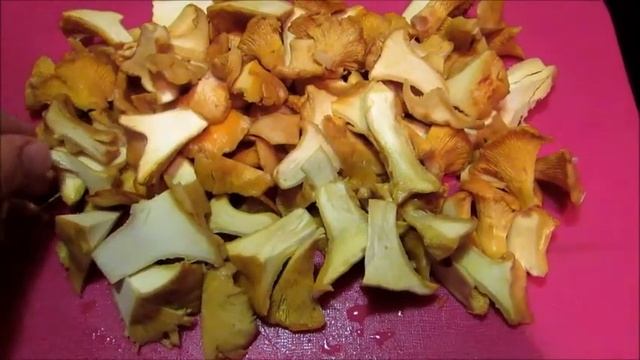 Вкусные рецепты с грибами