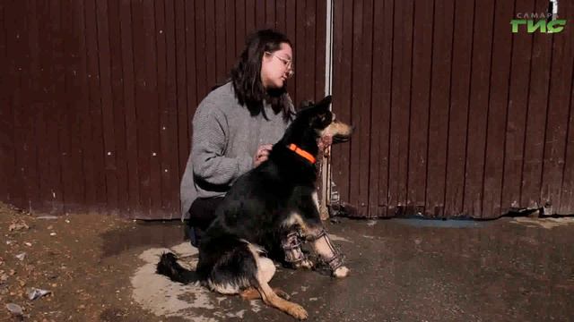 "Учиться ходить заново" / "Зоопатруль" от 26.03.2024